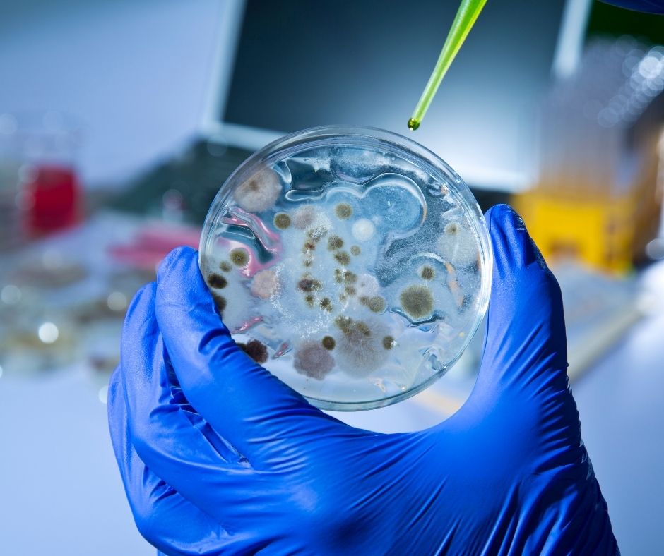 What Are Bloodborne Pathogens?