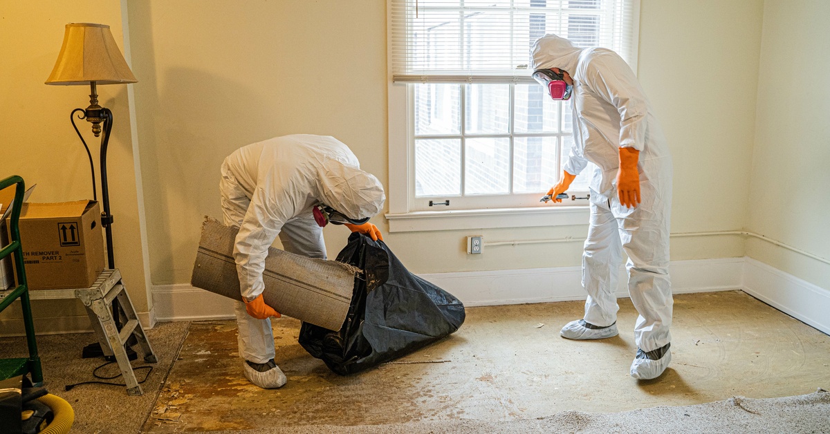 Quick and Reliable Trauma Scene Cleanup Solutions