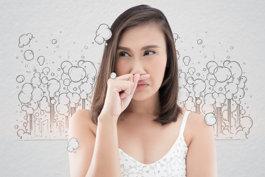 When Do You Need Professional Odor Removal and Remediation?