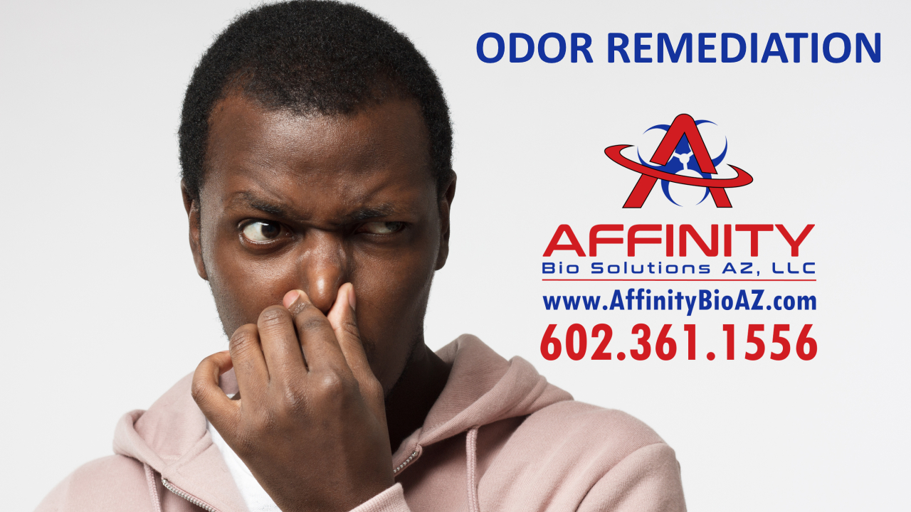 Cleanup Equipment Used by Odor Removal Professionals