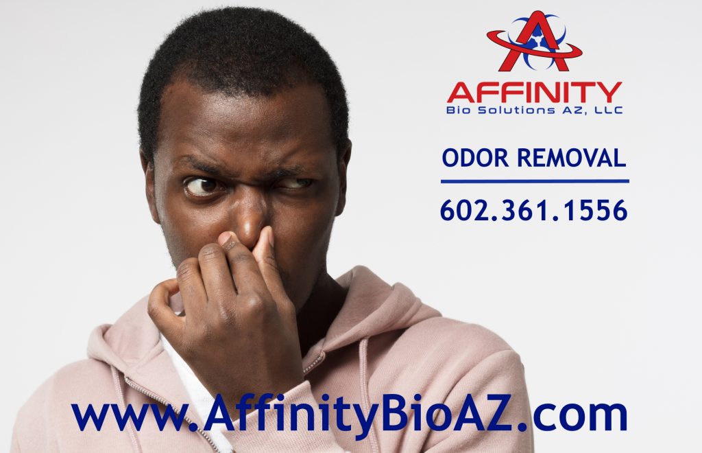 Phoenix Arizona Odor Removal Odor Remediation Homes Vehicles