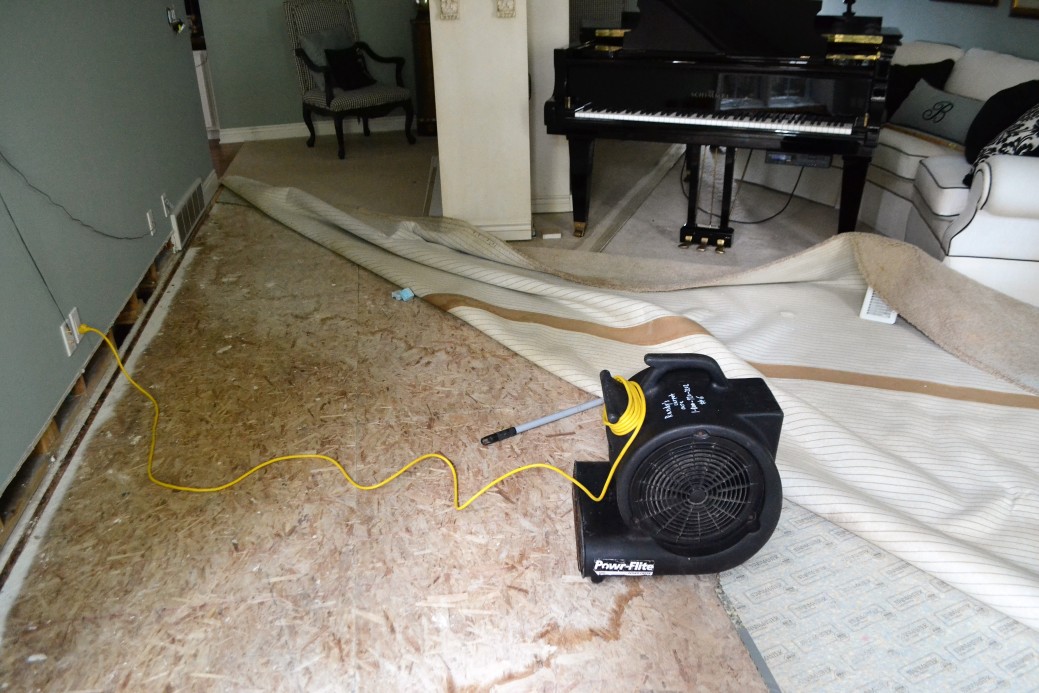 How Professionals Can Completely Dry Up Your Home After Water Damage