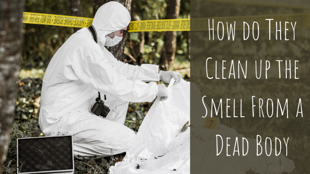 cleaning-up-the-smell-from-a-dead-body-call-a-professional