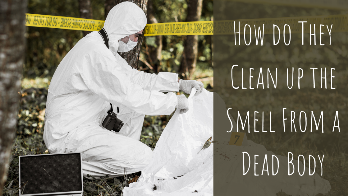 How do they clean up the smell from a dead body