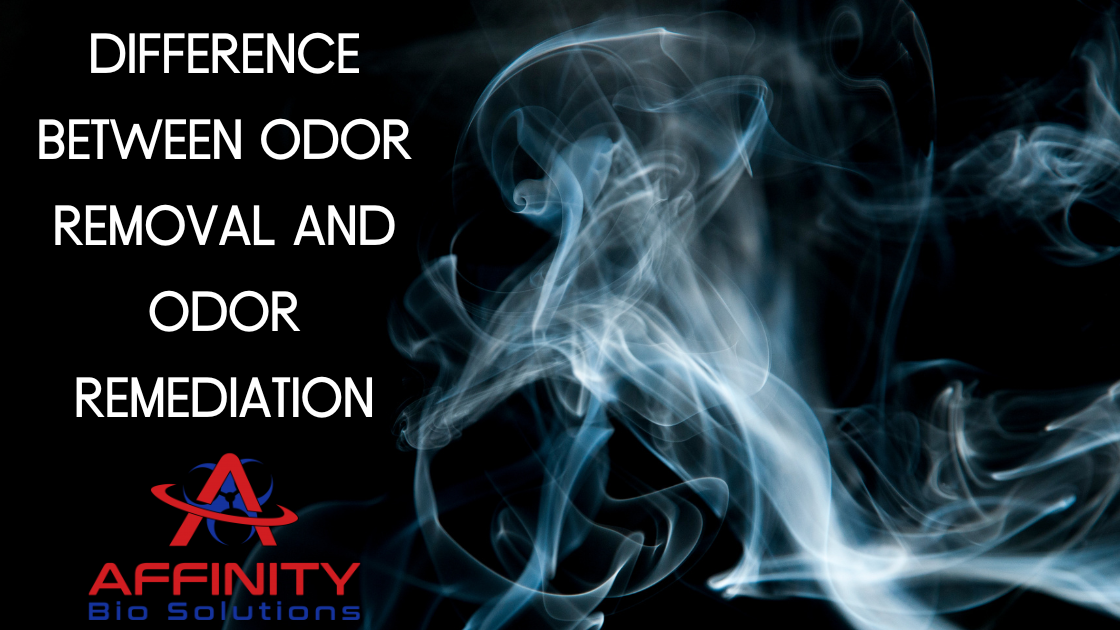 Difference Between Odor Removal and Odor Remediation