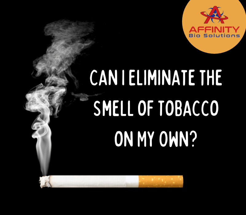 Can I Eliminate the Smell of Tobacco on My Own?