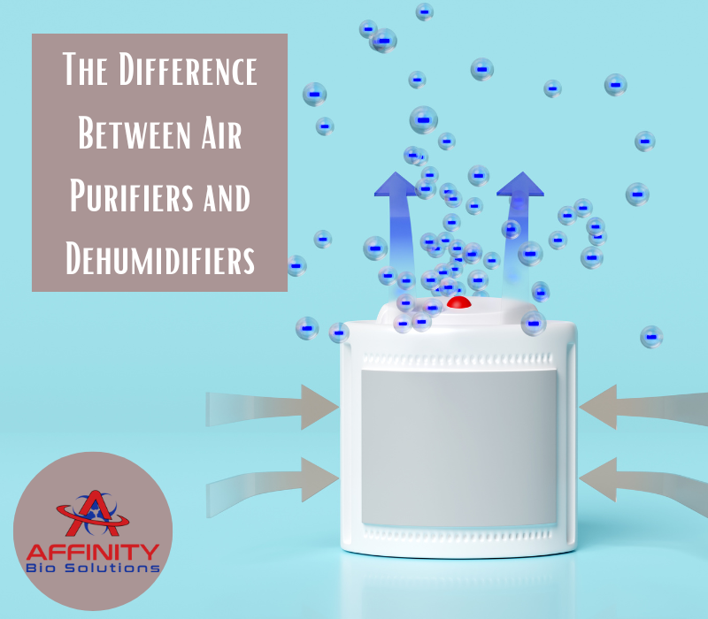 The Difference Between Air Purifiers and Dehumidifiers