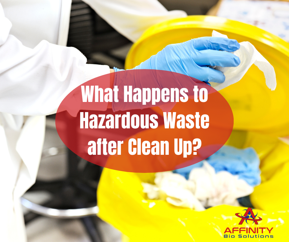 What Happens to Hazardous Waste after Clean Up?