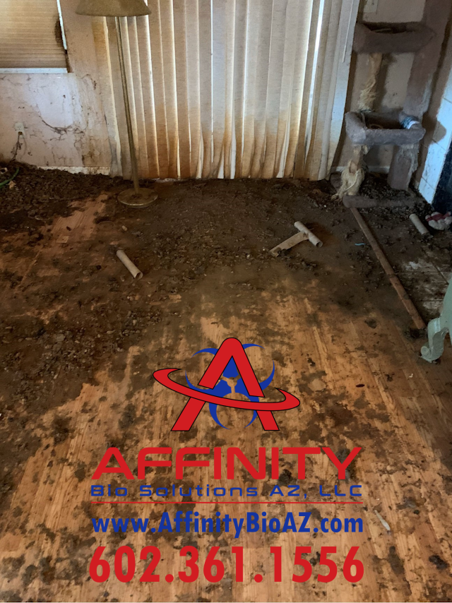 Hoarded Property Purchase Hoarder Home, Hoarder House Purchase, cleanup, biohazard disposal and remodel in Scottsdale Arizona