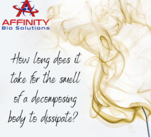 How long does it take for the smell of a decomposing body to dissipate?