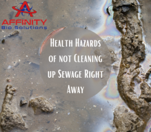 Health Hazards of not Cleaning up Sewage Right Away