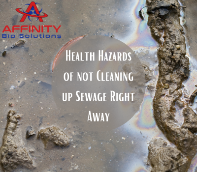 Health Hazards of not Cleaning up Sewage Right Away
