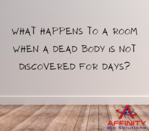 What Happens to a Room When a Dead Body Is Not Discovered for Days?