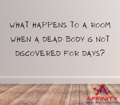 What Happens to a Room When a Dead Body Is Not Discovered for Days?