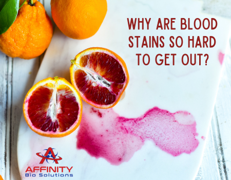 Why are Blood Stains so Hard to Get Out?