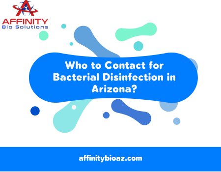 Who to Contact for Bacterial Disinfection in Arizona?
