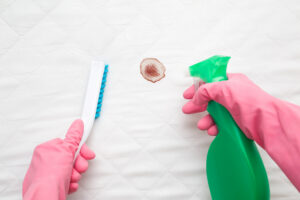 A pair of gloved hands holding a brush and a spray bottle attempting to clean a dried stain of blood