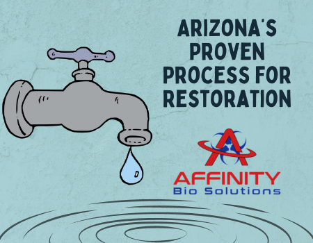 Arizona’s Proven Process for Restoration