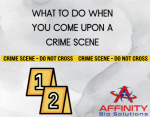 What to Do When You Come Upon a Crime Scene
