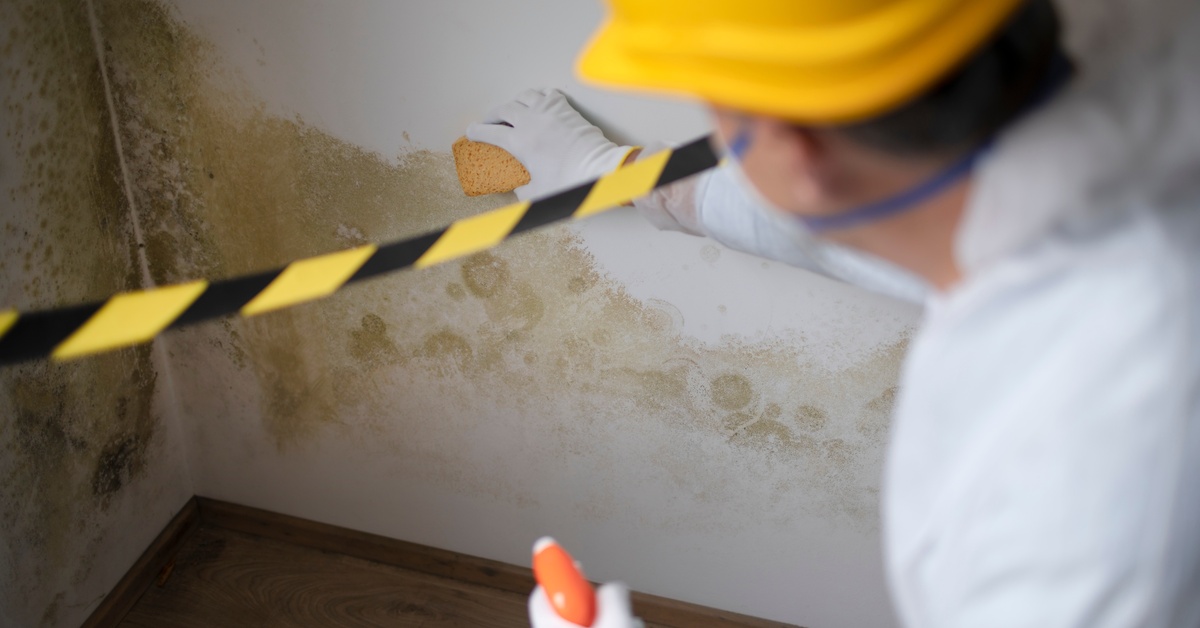 An over-the-shoulder view of a man wearing protective gear while cleaning mold off a white interior wall with a sponge.