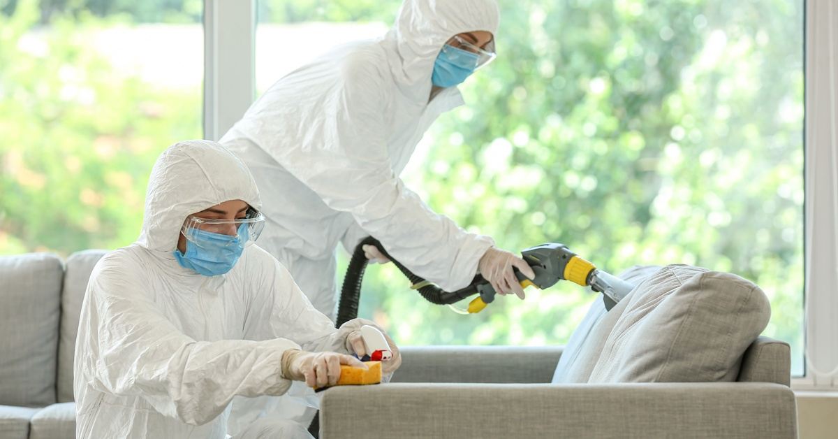 Two people wearing full-body protective suits professionally cleaning a gray couch in a home with large windows behind them.