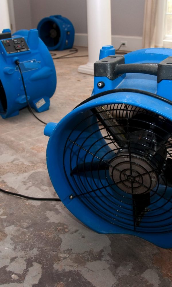 sewage flood home restoration